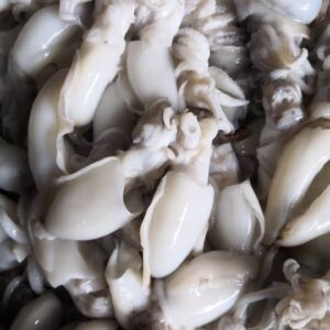 Premium Wild-Caught Cuttlefish | 目斗