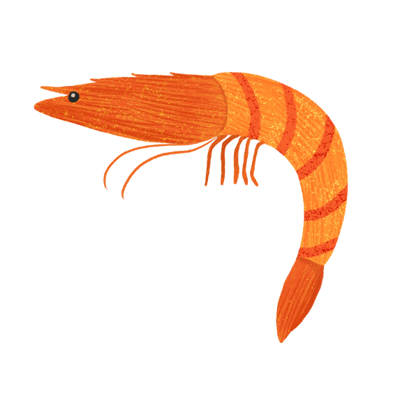 prawn art2
